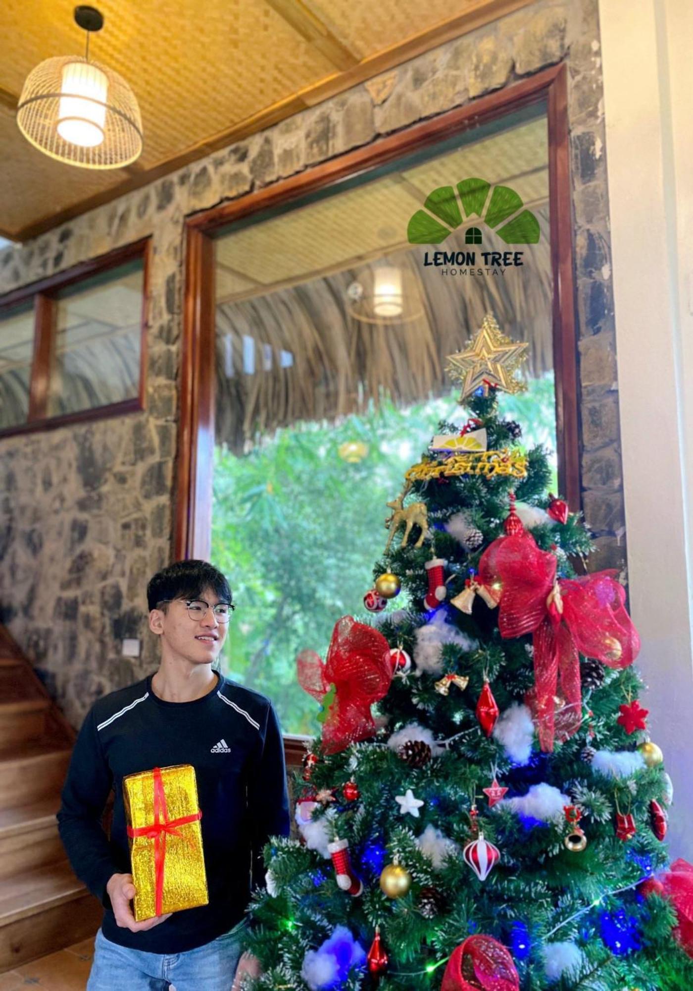 Lemon Tree Homestay Tam Coc Ninh Binh Exterior foto